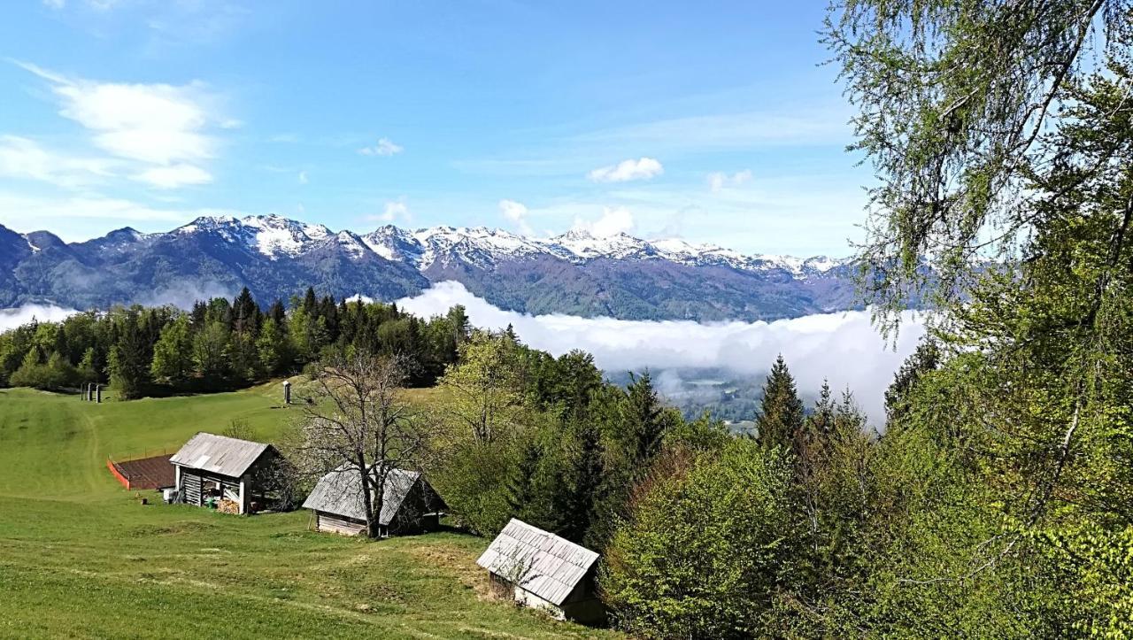 Apartments Pod Rodico Bohinjska Bistrica Εξωτερικό φωτογραφία