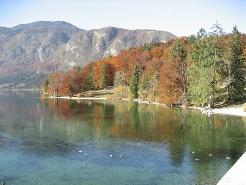 Apartments Pod Rodico Bohinjska Bistrica Εξωτερικό φωτογραφία