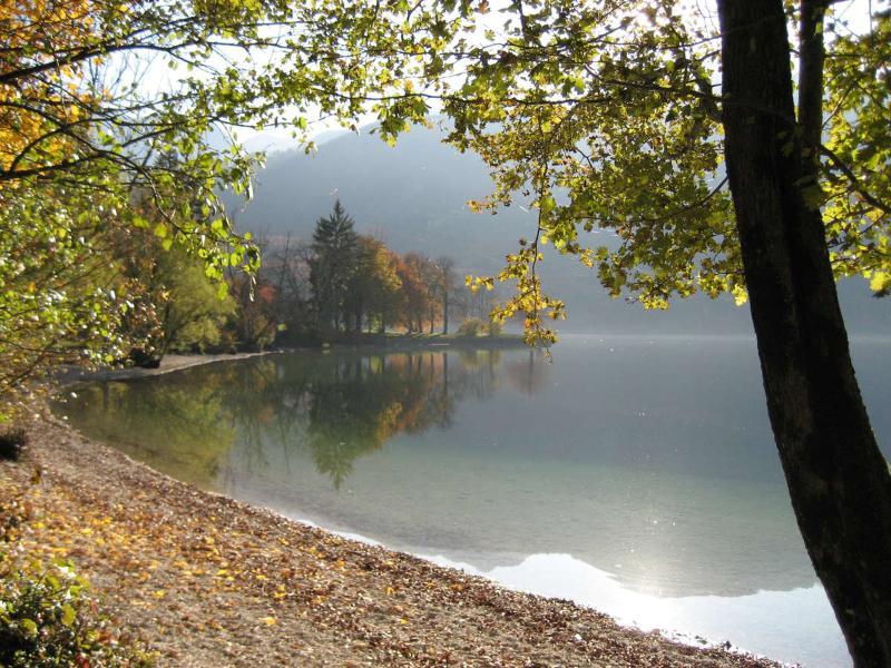 Apartments Pod Rodico Bohinjska Bistrica Εξωτερικό φωτογραφία