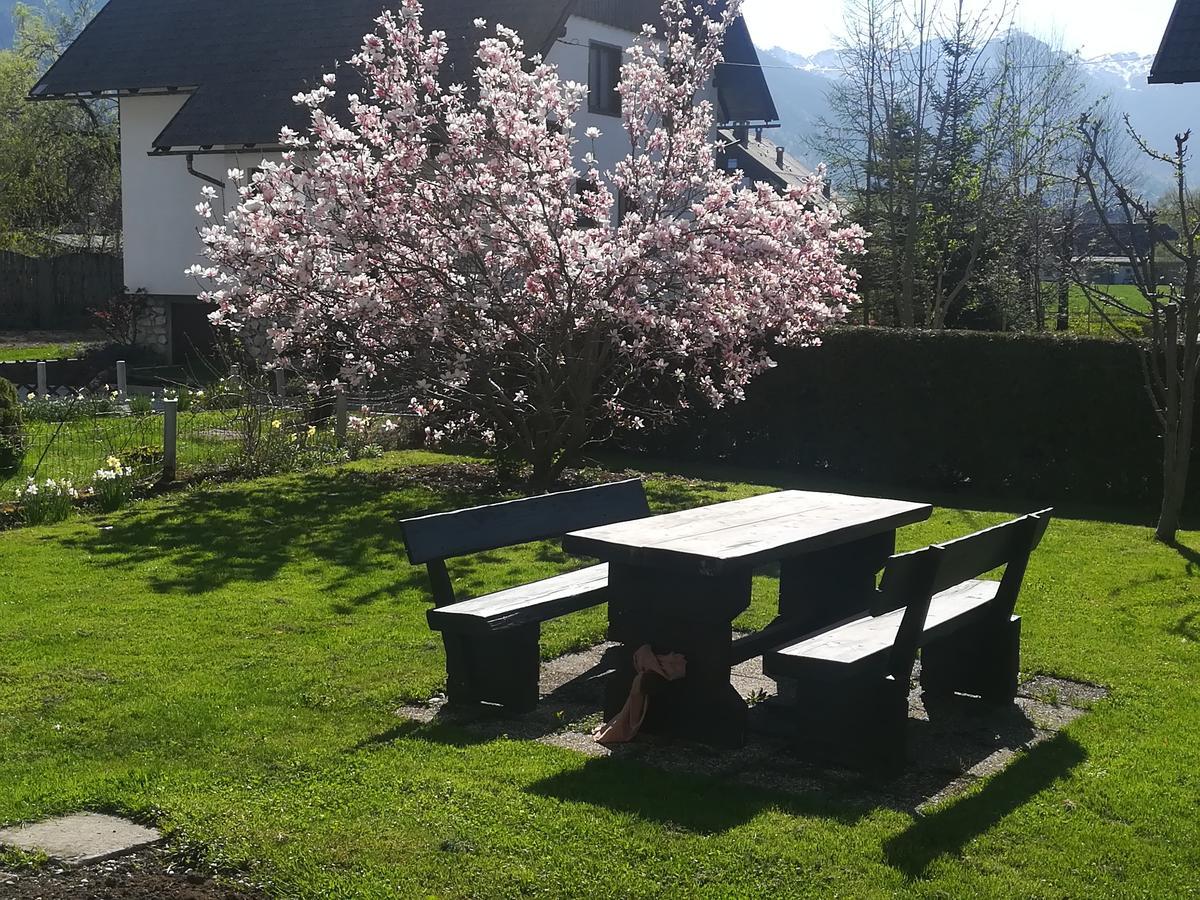 Apartments Pod Rodico Bohinjska Bistrica Εξωτερικό φωτογραφία